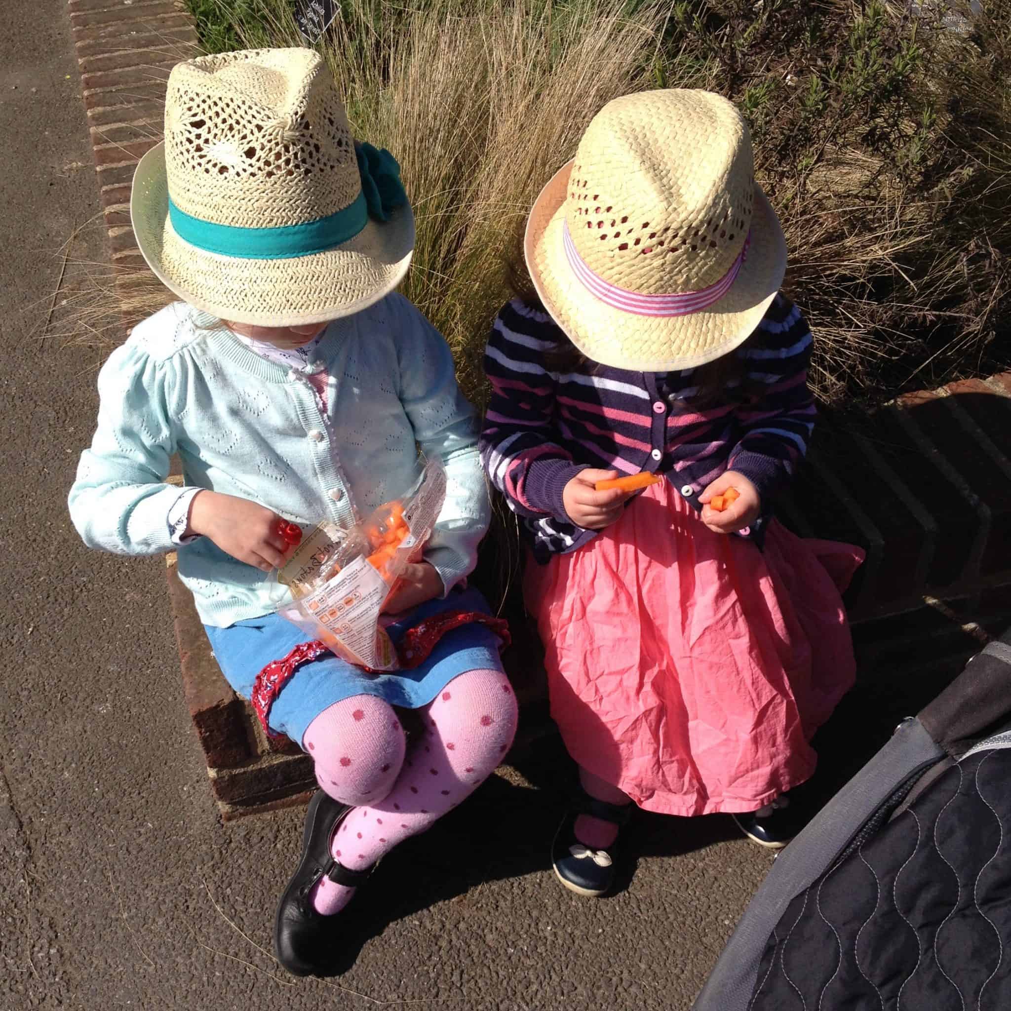 Munching on carrot sticks in the sun