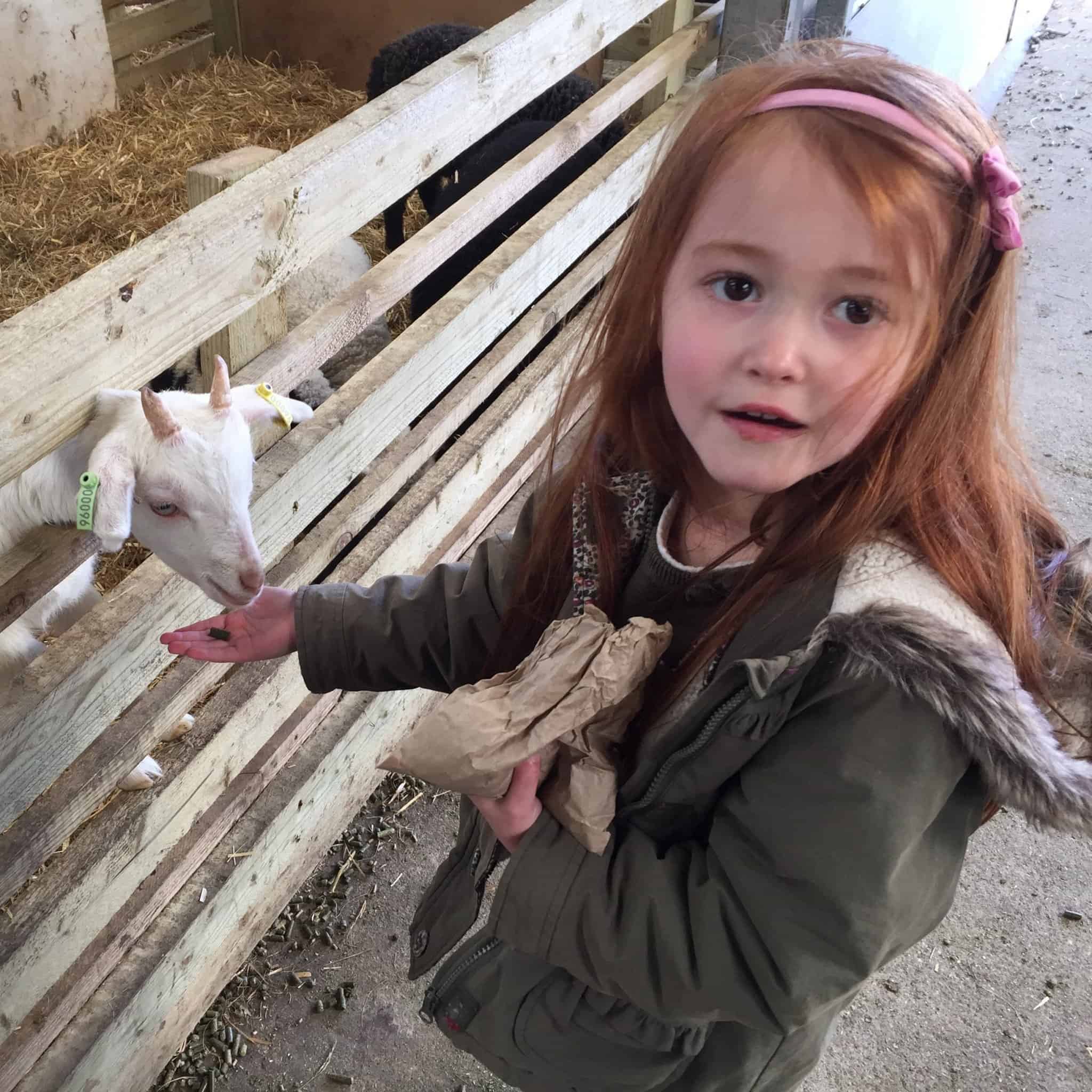 Ava smiling, feeding a goat at Green Dragon Eco Park