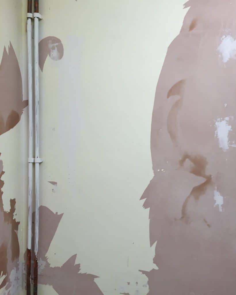 Peeling paint exposing plaster in the utility room 