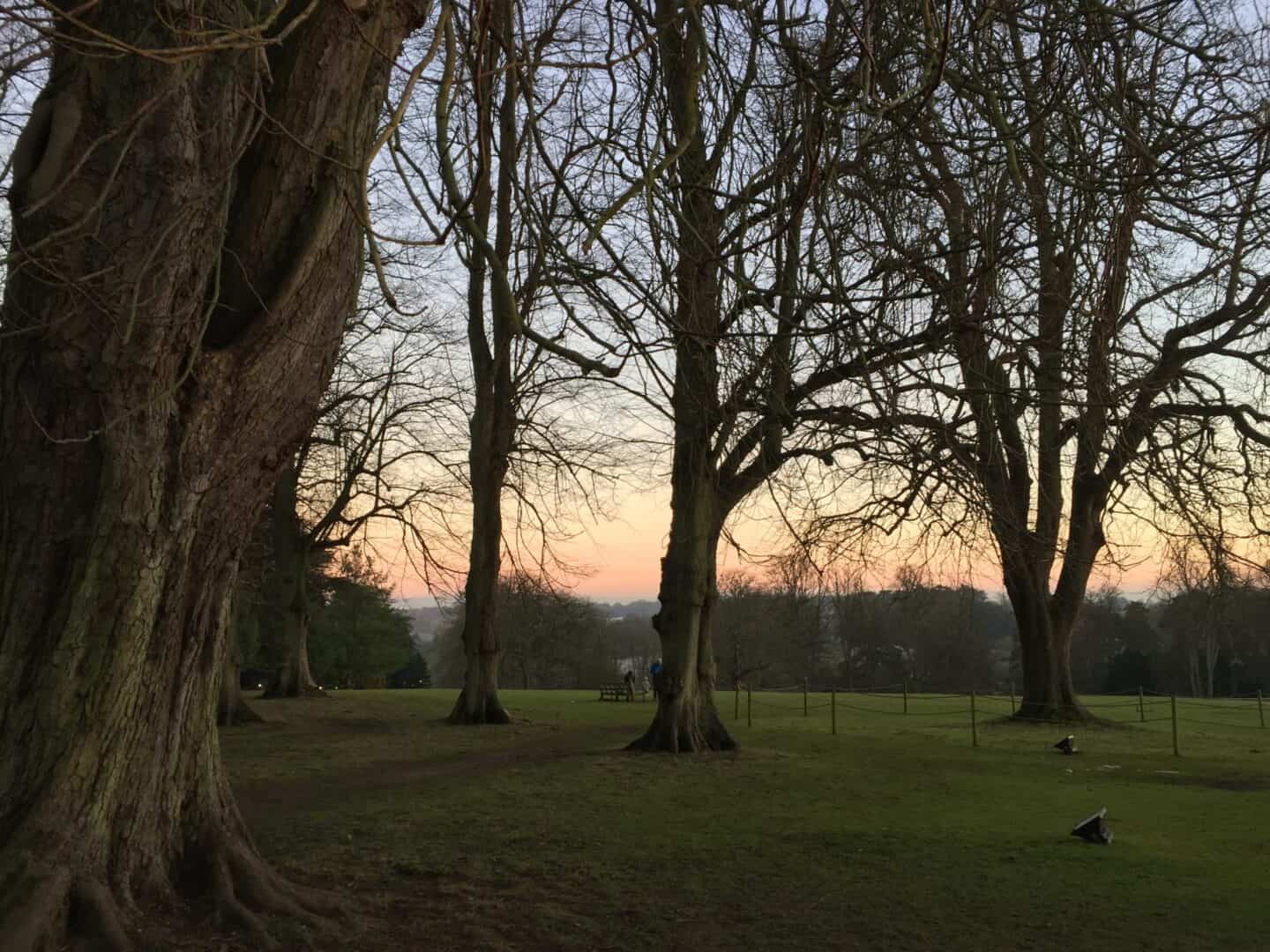 Waddesdon Manor grounds in winter
