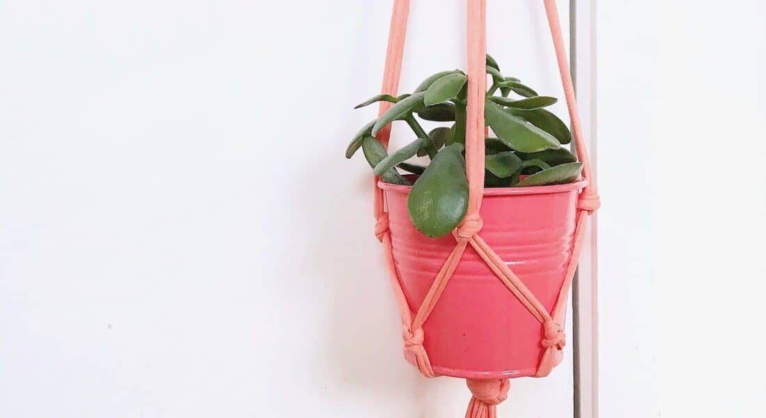 How To Make A Coral Pink Macrame Plant Hanger
