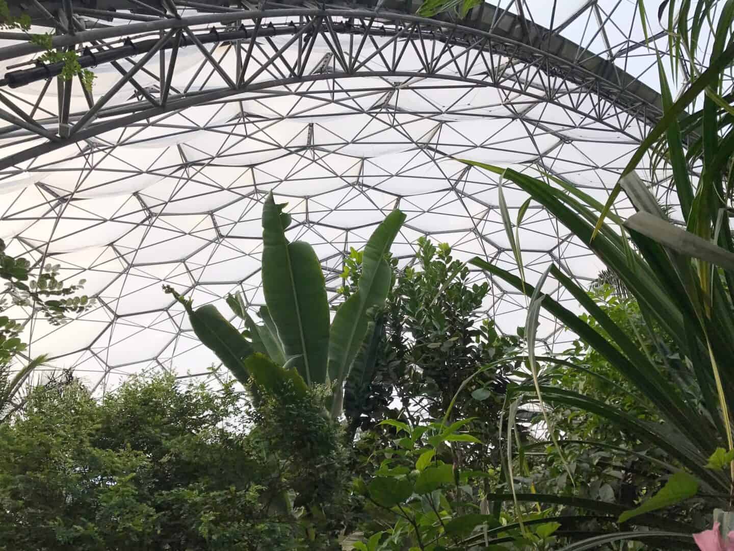 Inside a Biome