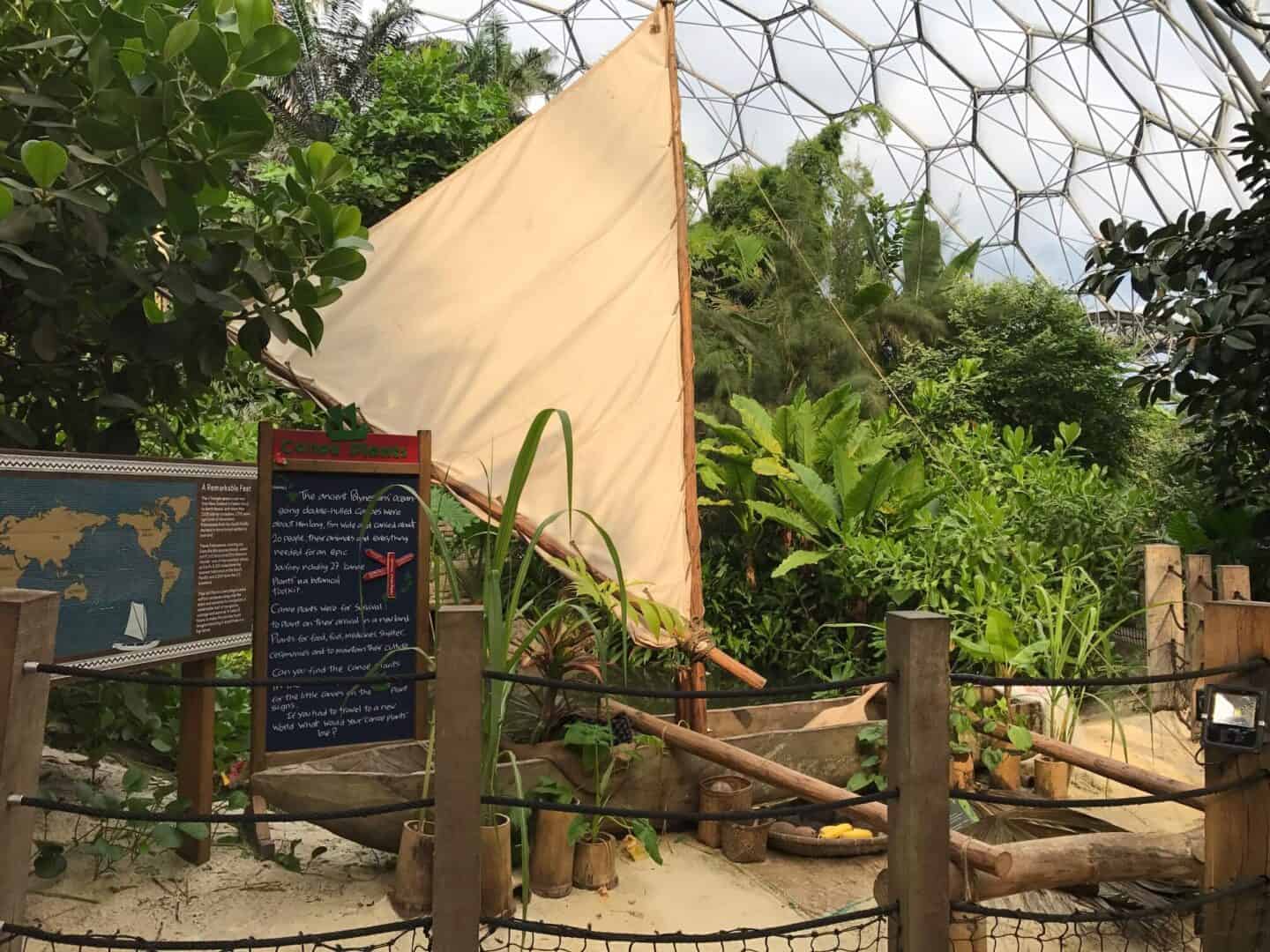 Moana-style display at the Rainforest Biome