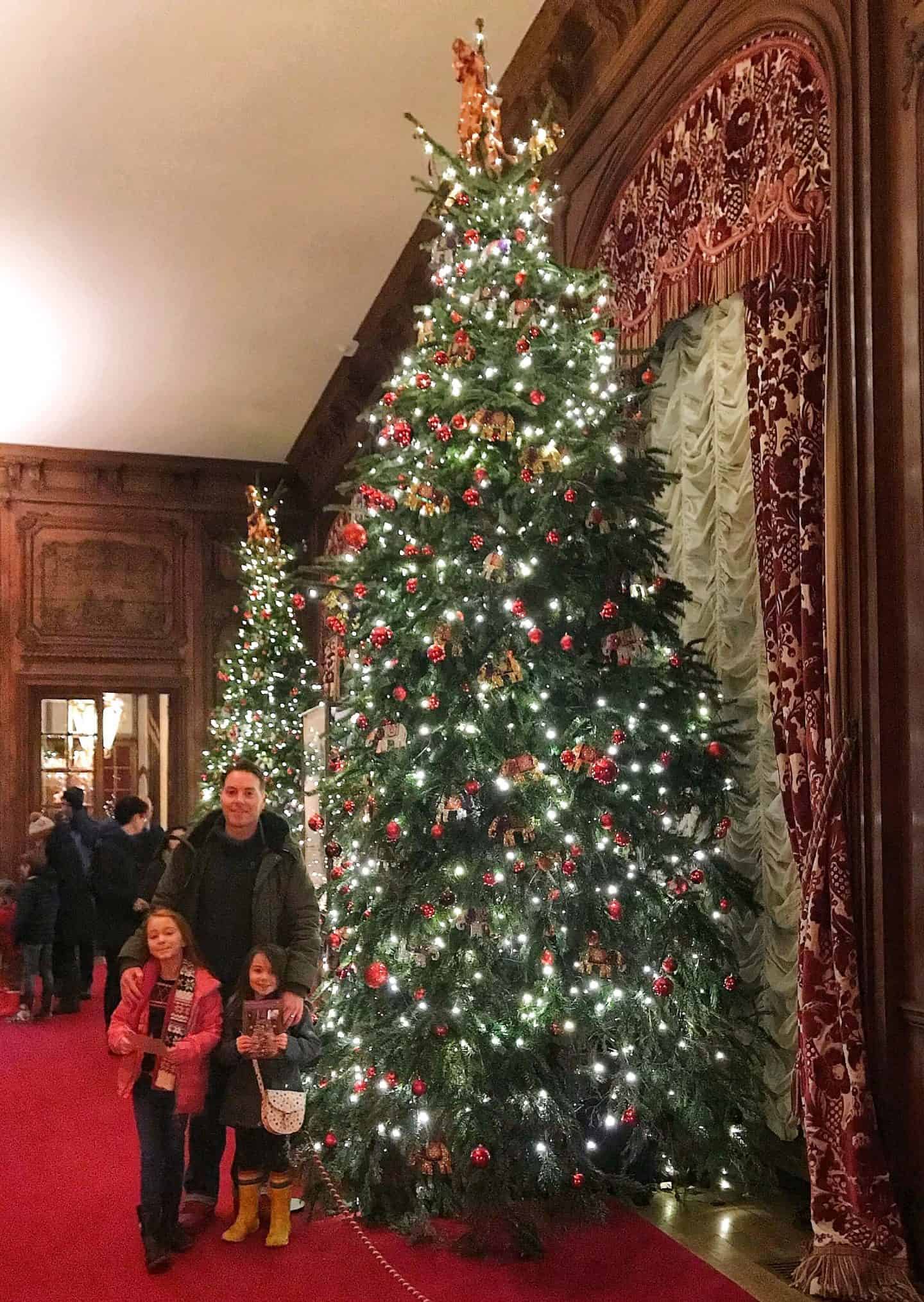 Giant Christmas Tree at Waddesdon Manor at Christmas