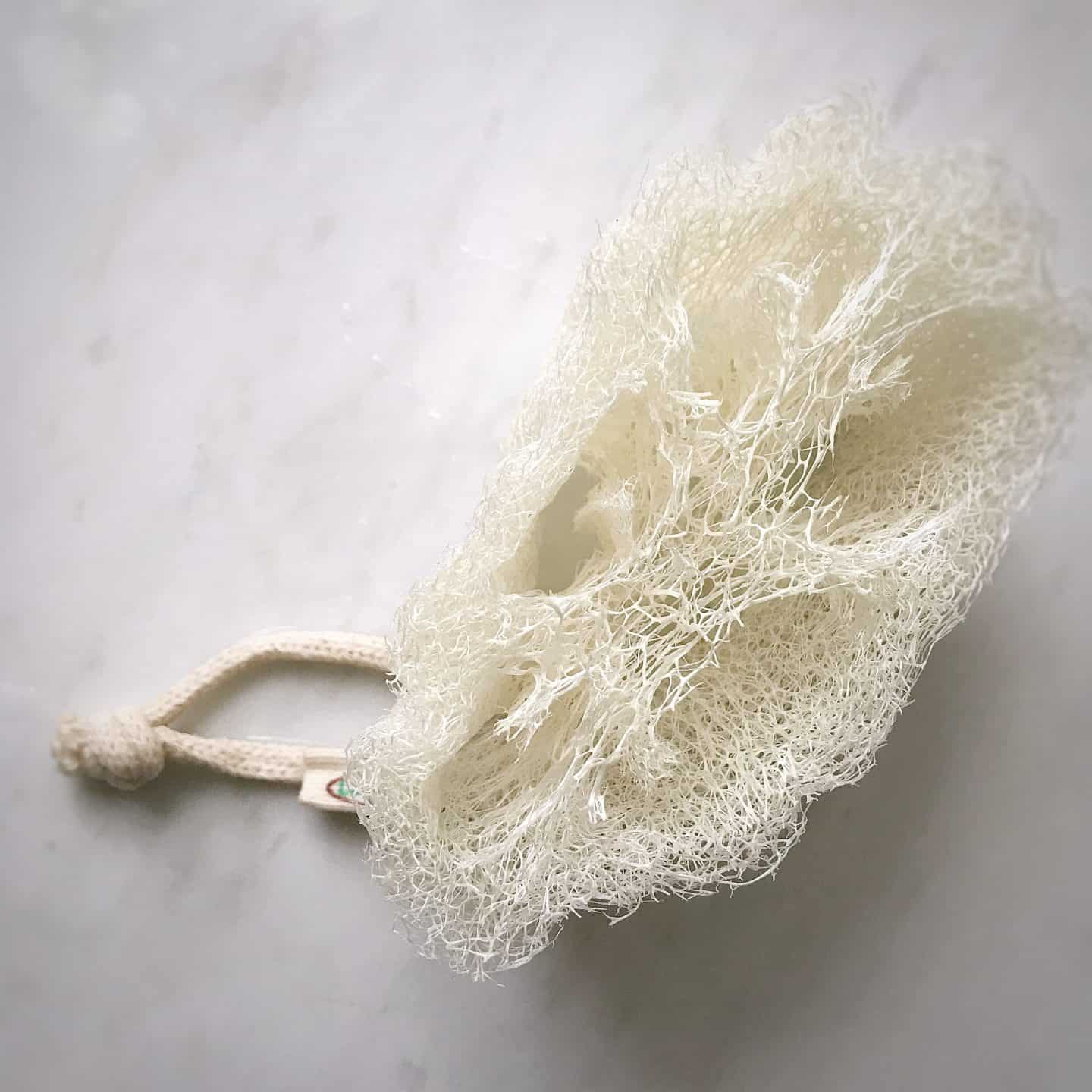 LoofCo natural loofar cleaning sponge