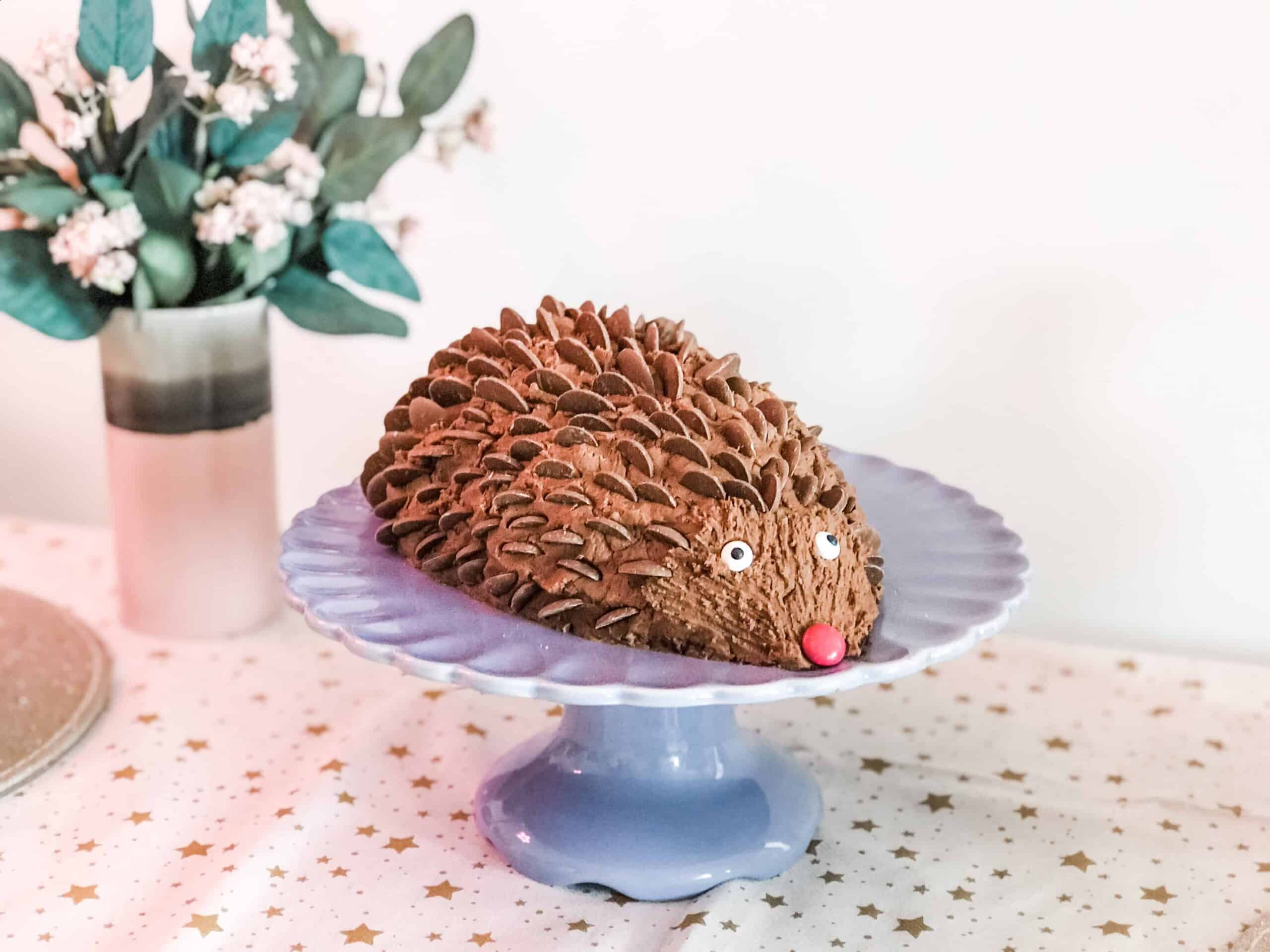 Hedgehog Birthday Cake