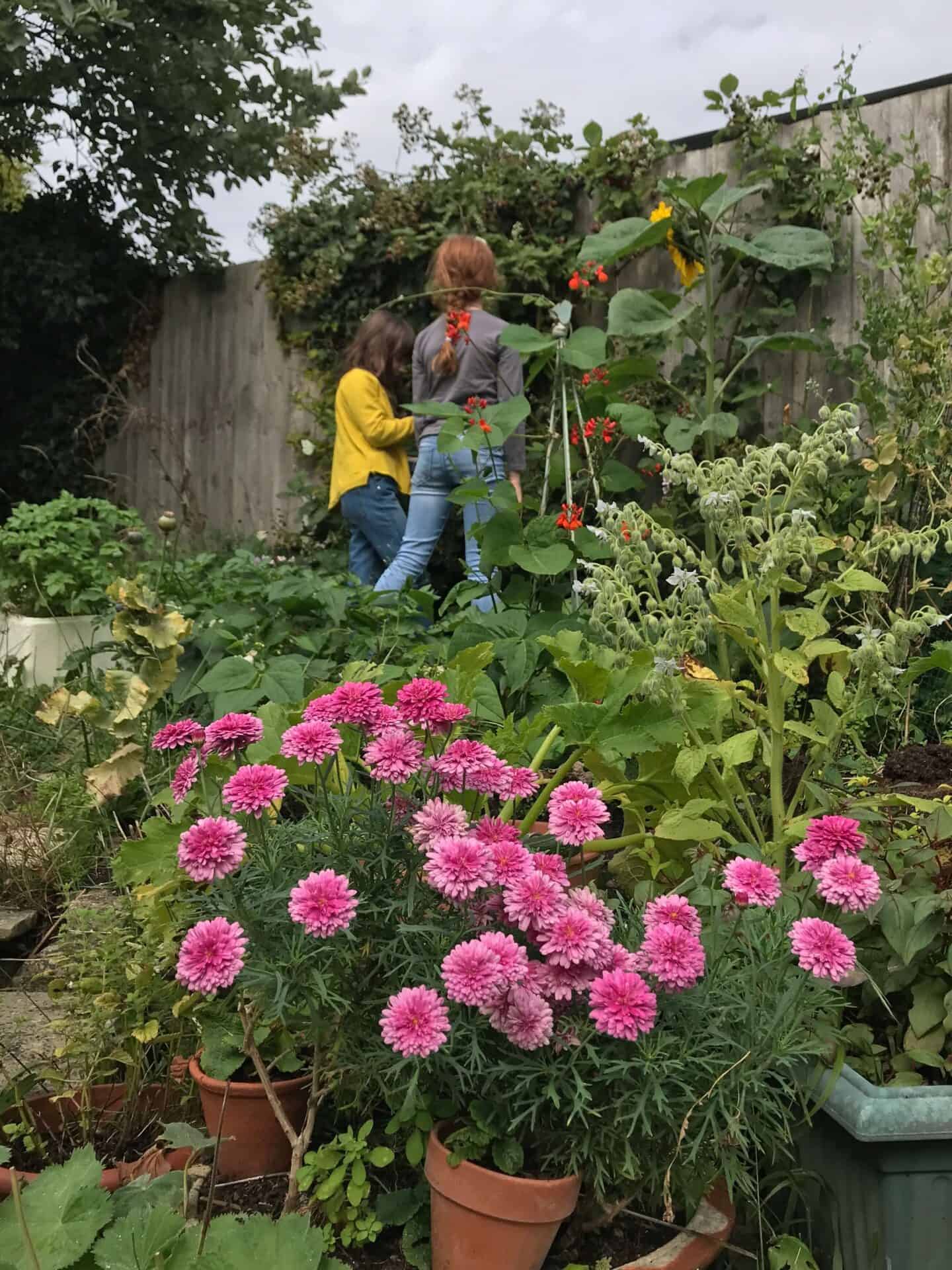 Children picking homegrown fruit