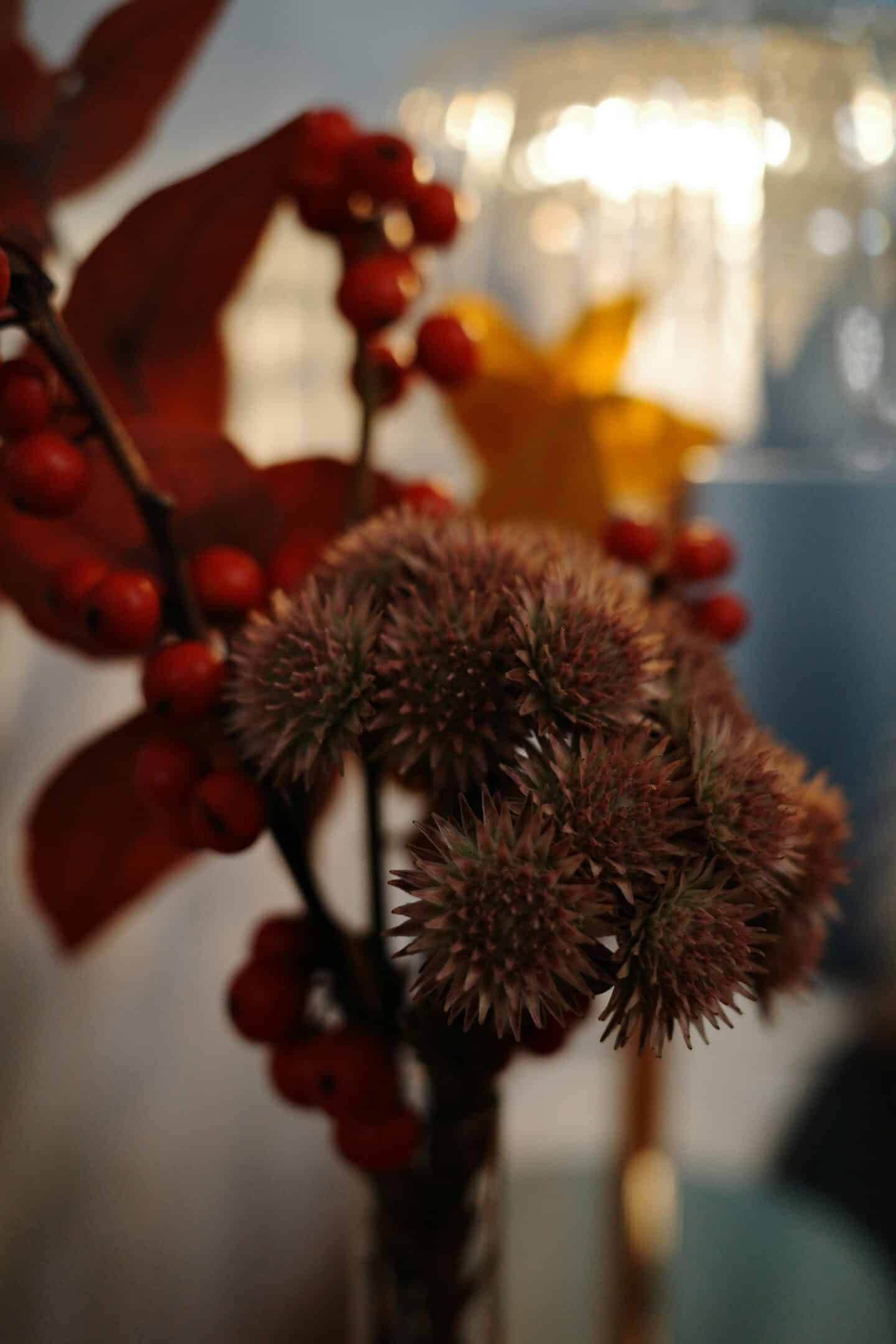 Zero-waste natural Halloween decorations from dried flowers and berries. Photo by Maksim Zinchenko